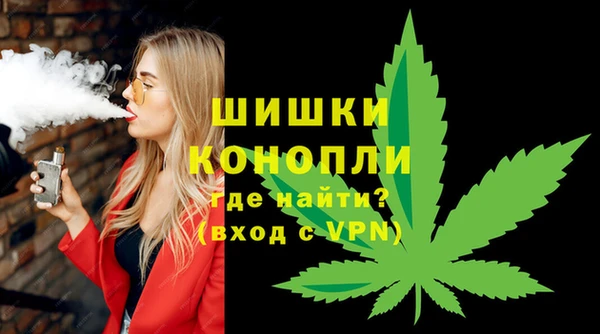 СК Новодвинск