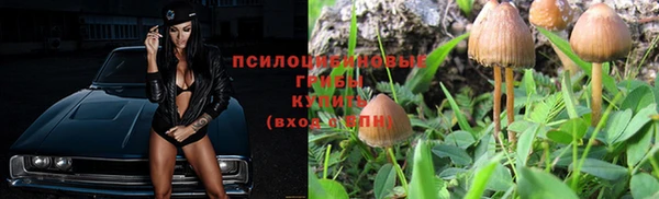 СК Новодвинск