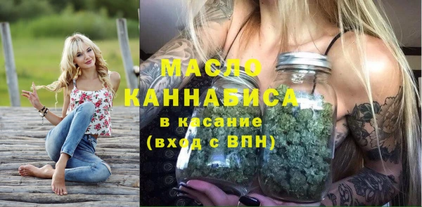 СК Новодвинск