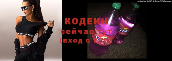 СК Новодвинск