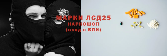 СК Новодвинск