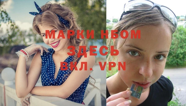 СК Новодвинск