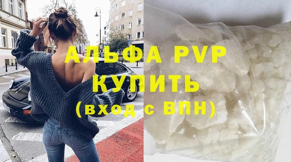 СК Новодвинск