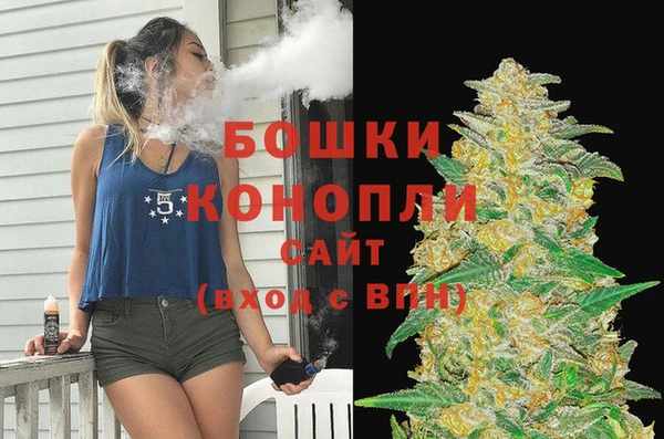 СК Новодвинск
