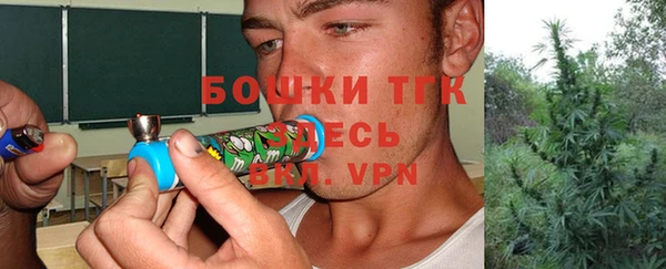 PSILOCYBIN Новокубанск