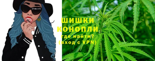 PSILOCYBIN Новокубанск