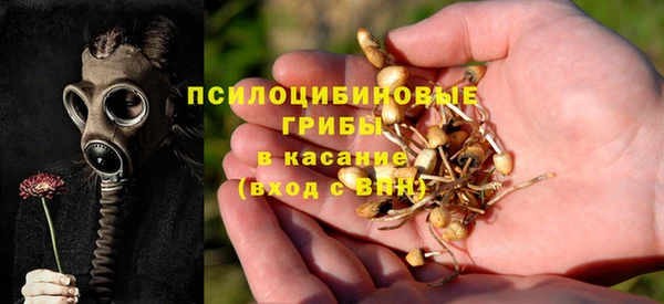 PSILOCYBIN Новокубанск