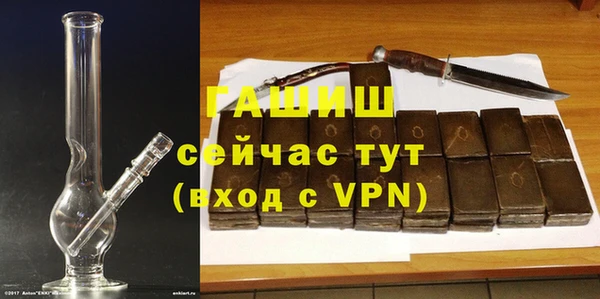 СК Новодвинск