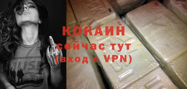 СК Новодвинск