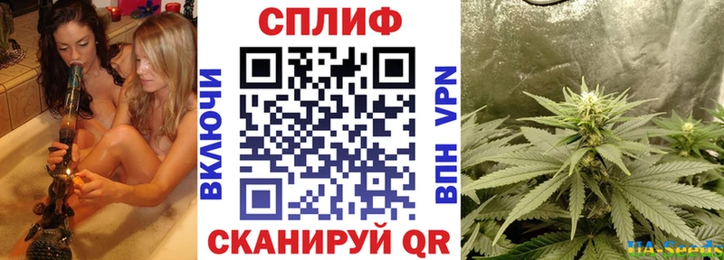 omg как войти  где купить наркоту  Красный Кут  Шишки марихуана марихуана 